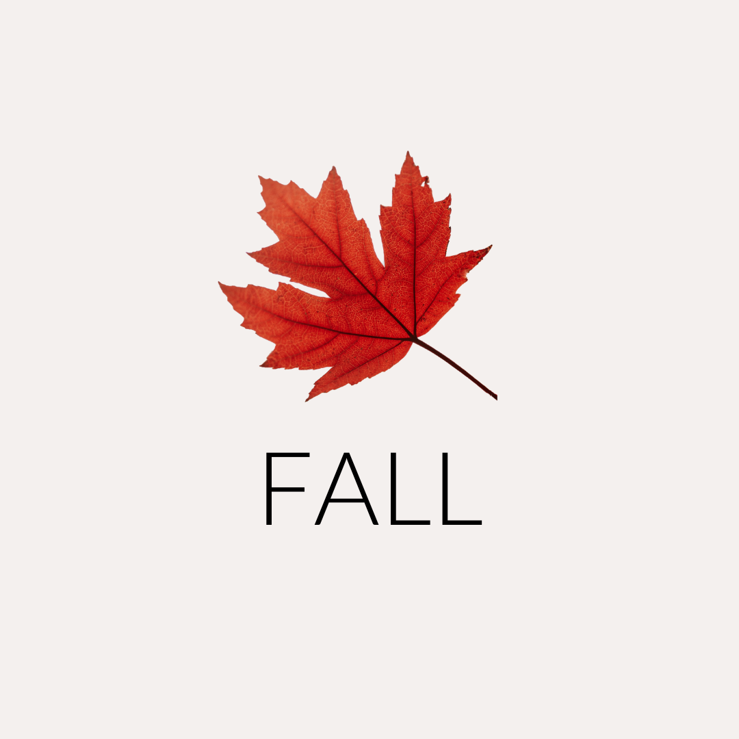 Season Capsules > Fall